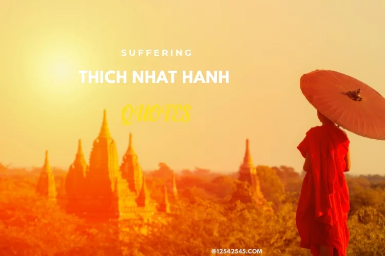 Thich Nhat Hanh Quotes Suffering