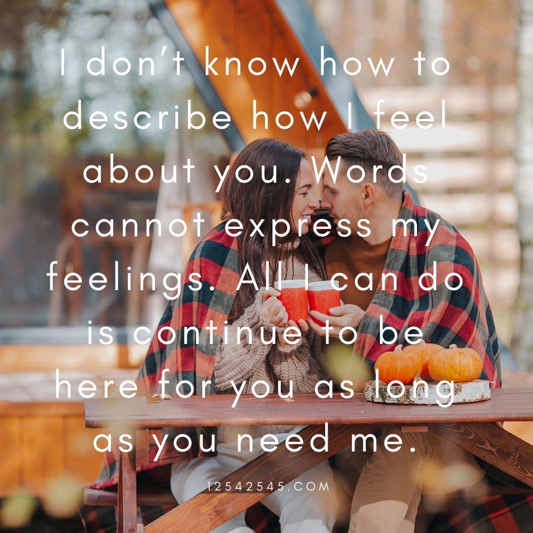 I don't know how to describe how I feel about you. Words cannot express my feelings. All I can do is continue to be here for you as long as you need me.