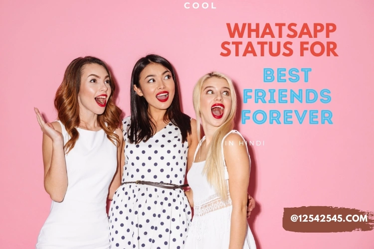 Cool Whatsapp Status for Best Friends Forever in Hindi