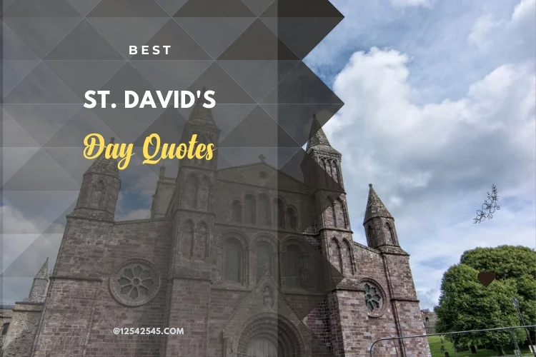 Best St. David's Day Quotes