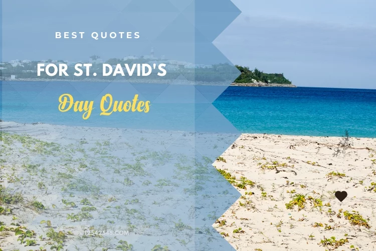 Best Quotes for St. David's Day