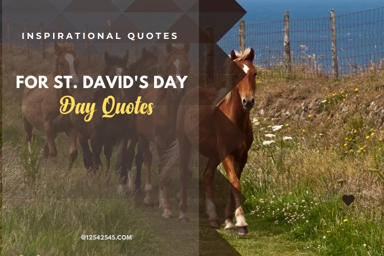 Inspirational quotes for St. David's Day