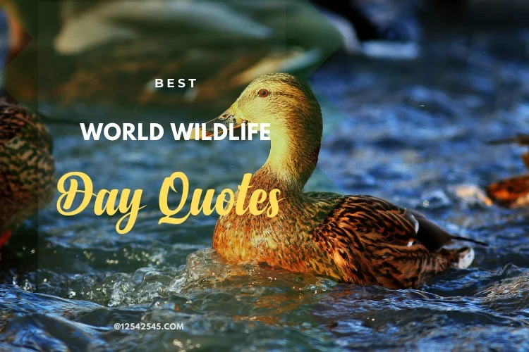 Best World Wildlife Day Quotes
