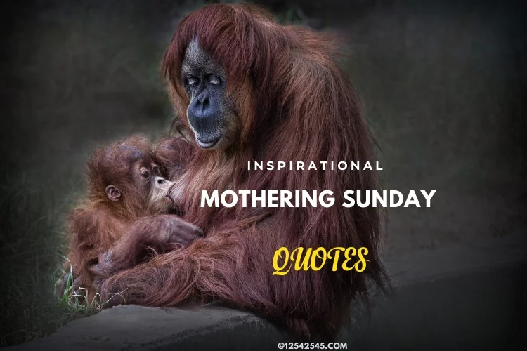 Inspirational Mothering Sunday Quotes