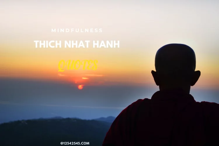 Mindfulness Thich Nhat Hanh Quotes