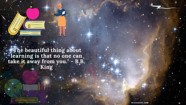 "The beautiful thing about learning is that no one can take it away from you." - B.B. King