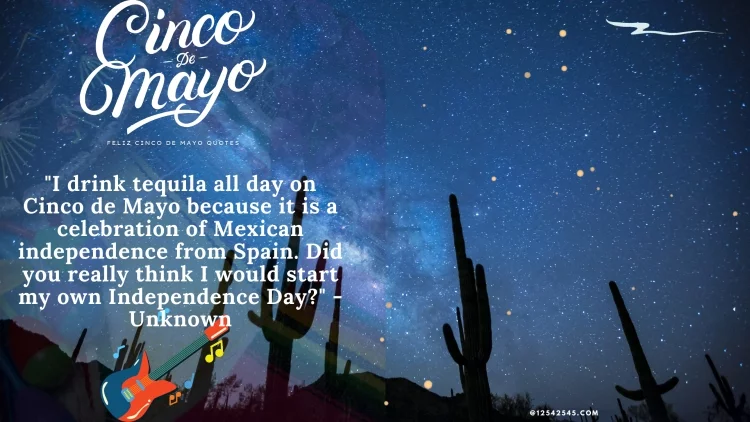 "I drink tequila all day on Cinco de Mayo because it is a celebration of Mexican independence from Spain. Did you really think I would start my own Independence Day?" - Unknown