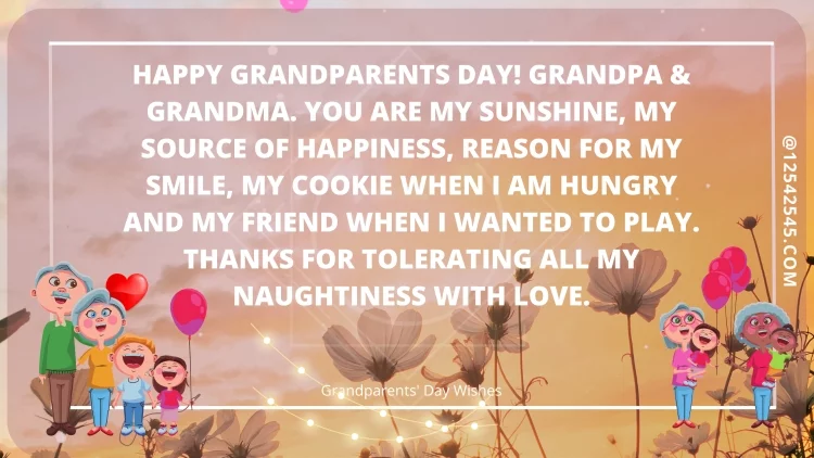 Happy Grandparents Day! Grandpa & Grandma. You are my sunshine, my source of happiness, reason for my smile, my cookie when I am hungry and my friend when I wanted to play. Thanks for tolerating all my naughtiness with love.