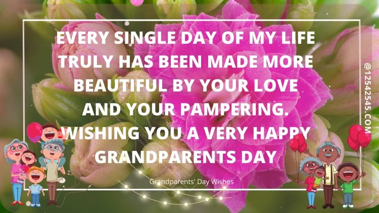 Every single day of my life truly has been made more beautiful by your love and your pampering. Wishing you a very Happy Grandparents Day