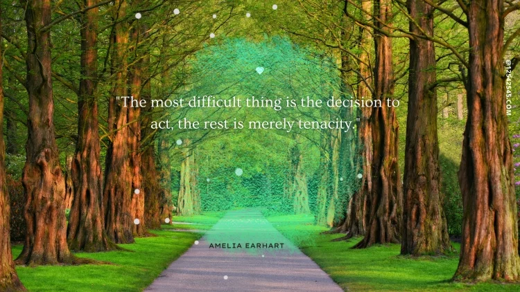 "The most difficult thing is the decision to act, the rest is merely tenacity."-Amelia Earhart