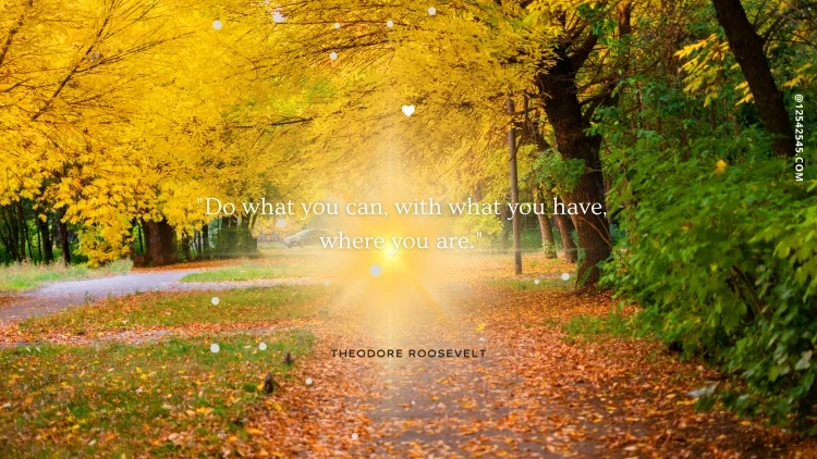 "Do what you can, with what you have, where you are."-Theodore Roosevelt