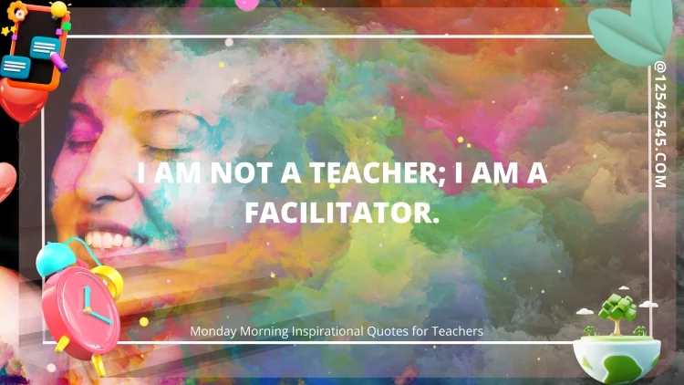 I am not a teacher; I am a facilitator.