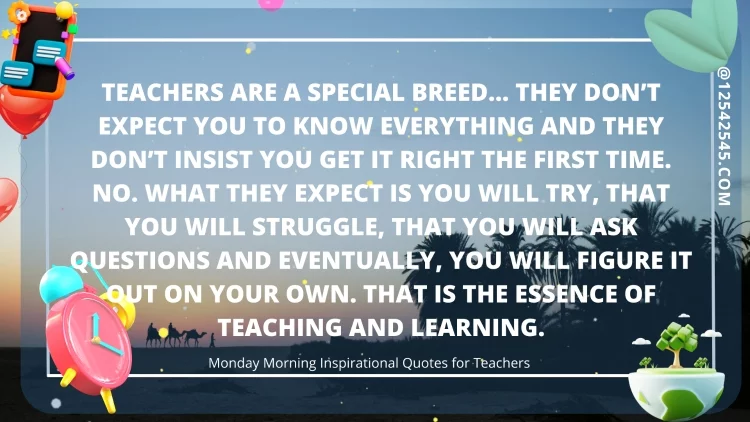 Teachers are a special breed… They don't expect you to know everything and they don't insist you get it right the first time. No. What they expect is you will try, that you will struggle, that you will ask questions and eventually, you will figure it out on your own. That is the essence of teaching and learning.