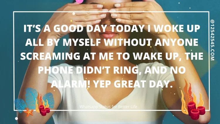 It's a good day today I woke up all by myself without anyone screaming at me to wake up, the phone didn't ring, and no alarm! yep great day.