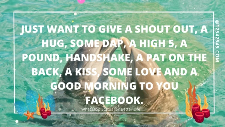 Just want to give a shout out, a hug, some dap, a high 5, a pound, handshake, a pat on the back, a kiss, some love and a good morning to you Facebook.