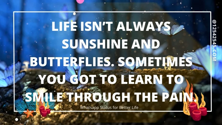 Life isn't always sunshine and butterflies. Sometimes you got to learn to smile through the pain.