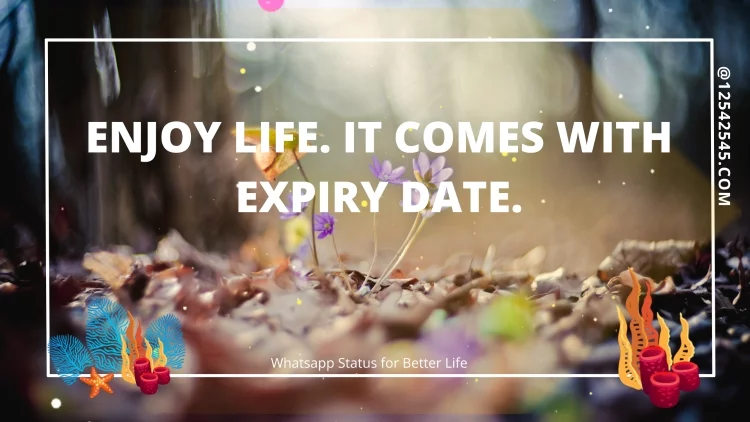 Enjoy life. It comes with expiry date.