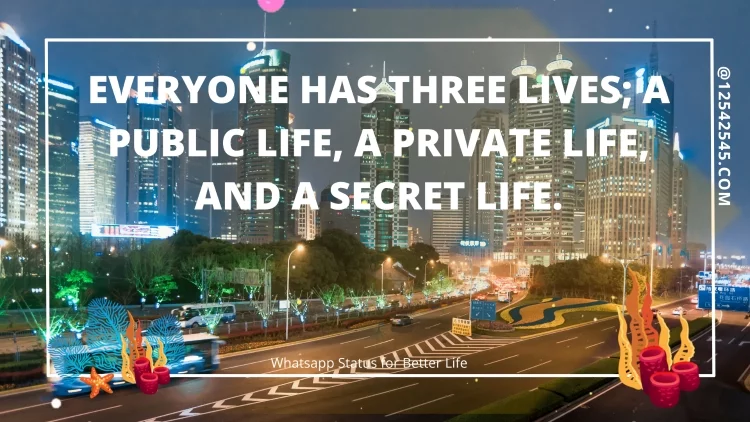 Everyone has three lives; a public life, a private life, and a secret life.