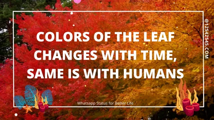 Colors of the leaf changes with time, same is with humans