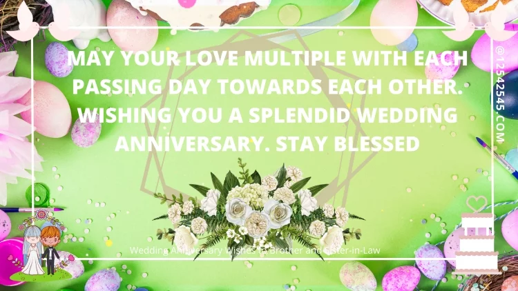 May your love multiple with each passing day towards each other. Wishing you a splendid wedding anniversary. Stay blessed