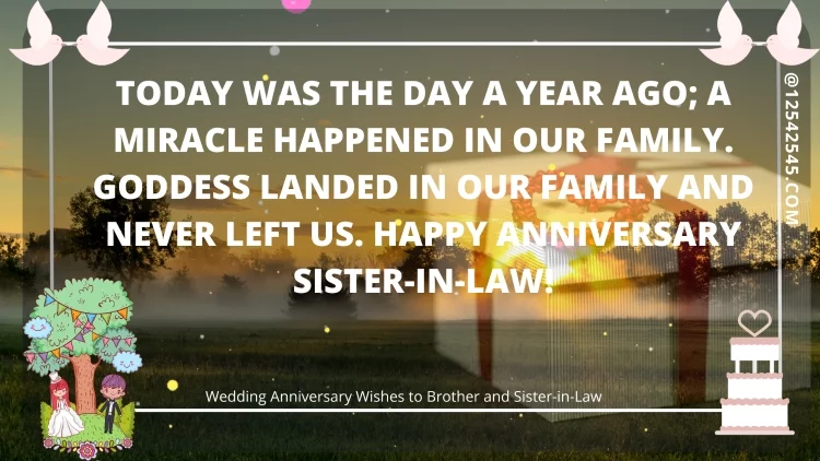 Today was the day a year ago; a miracle happened in our family. Goddess landed in our family and never left us. Happy anniversary sister-in-law!