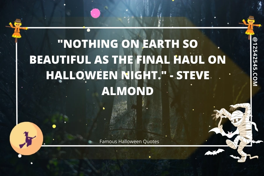 "Nothing on Earth so beautiful as the final haul on Halloween night." - Steve Almond