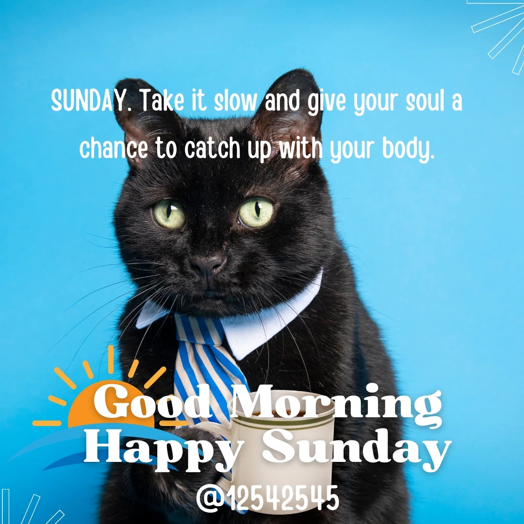 SUNDAY: TAKE IT SLOW AND GIVE YOUR SOUL A CHANCE TO CATCH UP WITH YOUR BODY ( happy Sunday everyone )