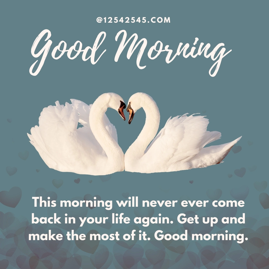 This morning will never ever come back in your life again. Get up and make the most of it. Good morning.