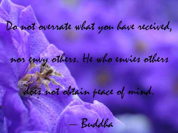 Buddha Quotes On Peace And Love