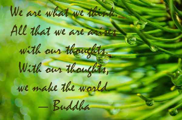 Buddha Quotes On Peace And Love