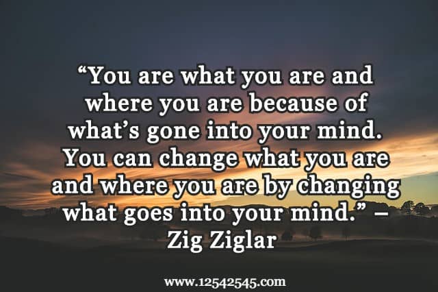 Zig Ziglar Quotes On Success And Gratitude