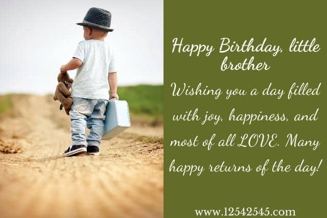 Happy Birthday Quotes to Little Brother