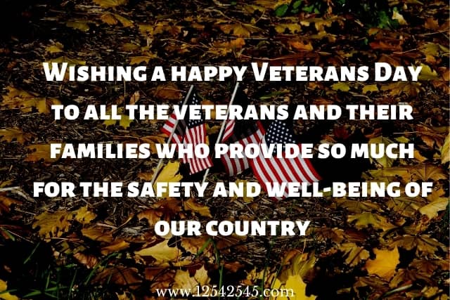 Veterans Day Thank You Status on Social Media