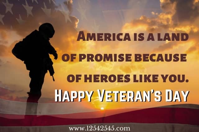 Veterans Day Thank You Quotes