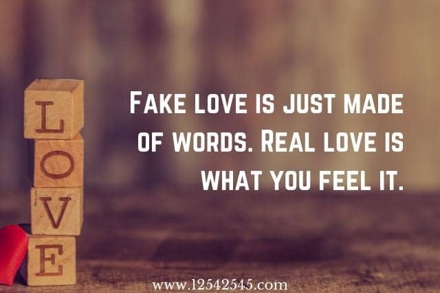 Fake Love Quotes by famous people