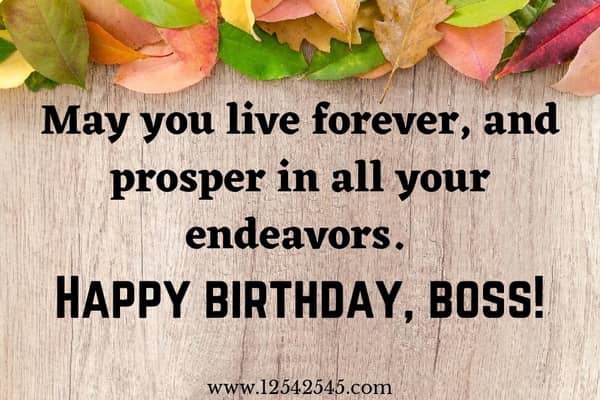 Impressive Birthday Wishes to Boss